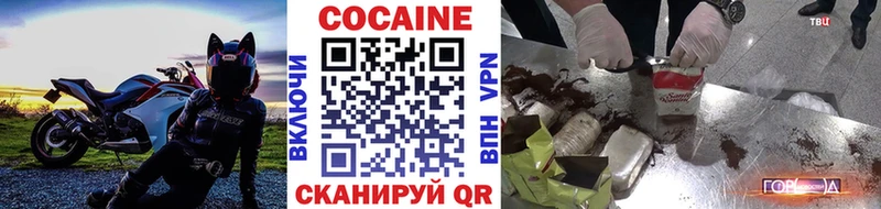 Cocaine Fish Scale  Купить закладки  Дно 