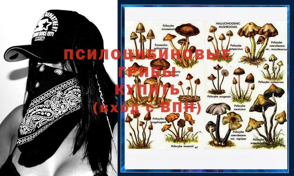 бошки Михайловск