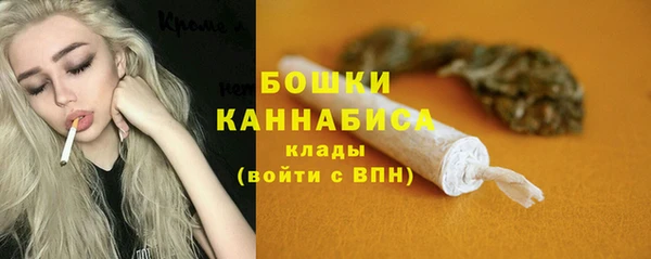 стаф Надым