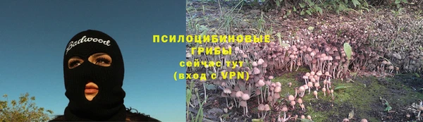 спиды Михайловка