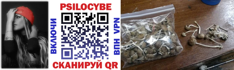 Купить  Дно  Псилоцибиновые грибы MAGIC MUSHROOMS 